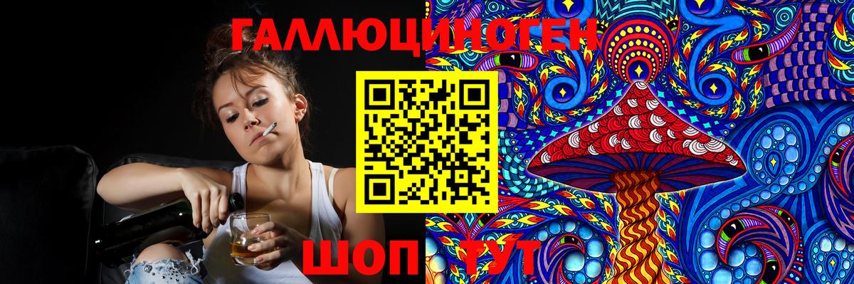 Галлюциногенные грибы Psilocybe Рославль